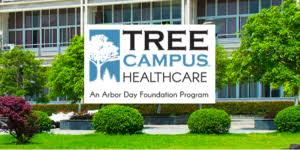 Atrium Health First To Win Tree Campus Healthcare Honors Treescharlotte