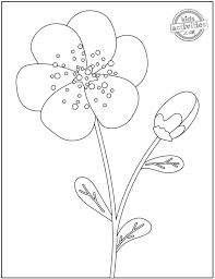 Free printable coloring pages and book for kids. 14 Original Pretty Flower Coloring Pages To Print Kids Activities Blog