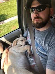 Labrador Retrievers for Veterans