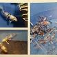2025 Rocky Mountain Koi Show!