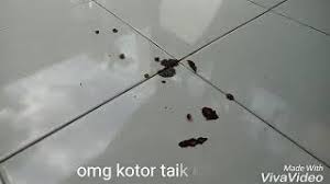 Cara keluar grup wa tanpa diketahui dengan mengganti nomor. Tips Nak Halau Kelawar Youtube