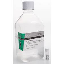 Etiketten drucken chip / aktuelle etiketten drucken downloads kostenlos auf freeware.de. Chip Lysis Buffer Scbt Santa Cruz Biotechnology