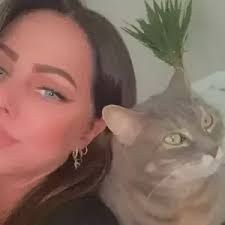 Garde d'animaux, chien, chat et pension à Cossonay-Ville