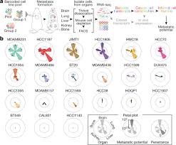 Cell lines hematopoietic cell lines. A Metastasis Map Of Human Cancer Cell Lines Nature