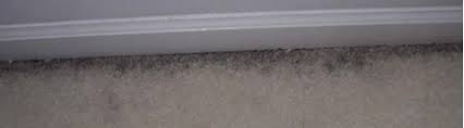 So here is a guide for installing baseboard trim in a room where carpeting is either expected or known to be on the agenda. Black Edges Around Your Carpet One Stop Cleaning Llc