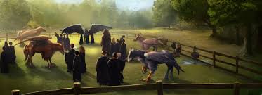 Pottermore Artwork Google Drive In 2020 Magical Creatures Harry Potter Artwork Harry Potter