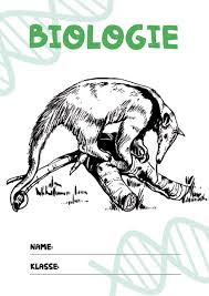 Deckblatt Biologie 3 Bio Deckblatt Biologie Deckblatt