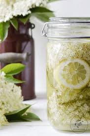 Holundersirup Auf Vorrat Furs Jahr Kuchenzauber Holundersirup Holunder Hollundersirup