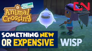 This section could be improved with the addition of images. Wisp Something New Or Expensive Choice Animal Crossing New Horizons Youtube