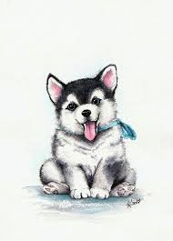 Pin Van Kristel Andrade Op Kitty Dieren Tekenen Katten Tekening Hond Tekeningen