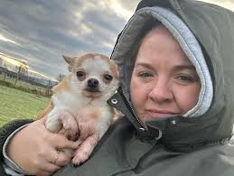 Smallfry's Doggy Day Care