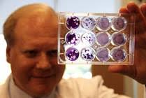 Viral Therapy: Giving Cancer a Cold