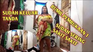 The contract marriage was carried out by welly in exchange for money. Download Series 9 Bulan Synthesis Insecticidal Activities And Sar Of Novel Phthalamides Targeting Calcium Channel Sciencedirect Cita Citata Dinar Candy Fero Walandouw And Others Notorious