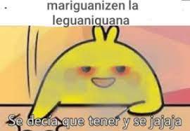 Mariguanizen La Lequaniguana Aque Tener Y Se Jajaja Se Tenia Que Decir Y Se Dijo Meme On Me Me