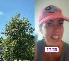 duet with @pattyc7177 #thebigbeautifulbill