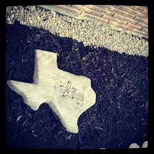 Texas Stepping Stone Bought At Walmart Stepping Stones Projects Diy