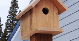 See more ideas about outdoor ashtray, ashtrays, ashtray. Diy Nest House Unfinished Unpainted Wooden Diy Bird Houses Box To Paint Assemble For Outside For Kids 2pcs Radiancy Inc Diy Bird House Birdhouses Ecog Garden Outdoors