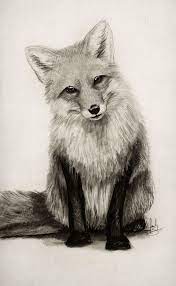 Fox Say What Art Print By Isaiah K Stephens Fuchs Zeichnung Tiere Malen Fuchs Zeichnen