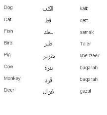 pin on learning arabic