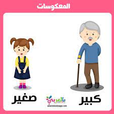 pin on بطاقات تعليمية للأطفال