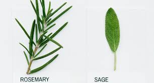 Cecelia sopeña desnuda Esto incluye fotos y vídeos