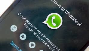 Advertisement platforms categories 4.2.12 user rating4 1/5 apk extraction is a free android app used to extract your apks from your phone and copy them to. You Can Now Share Files By Whatsapp Download Apk Androidsis