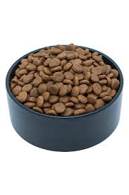 Image result for Gravidity