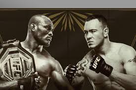 See these athletes in action at ufc fight night. Ufc 245 Onde Assistir Card Completo E Noticias