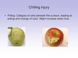 Ppt Temperature Management Powerpoint Presentation Free Download Id 6067317