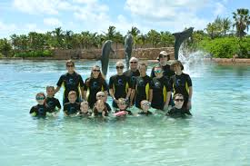 Dolphin Cay Hi-Res Stock Photography And Images - Alamy