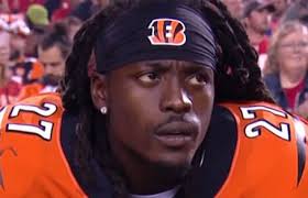 Cincinnati Bengals 2010's