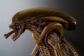 Moray eels are becoming increasingly popular with experienced fish keepers. Sarah Gailey Updates On Twitter Good Morning To Me Because I Just Remembered That Moray Eels Have A Pharyngeal Jaw Which Means Every Moray Eel Has Got A Second Mouth Inside