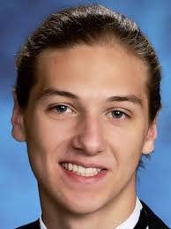 Boys volleyball: Erie Times-News District 10, Region All-Stars