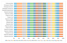 Image result for Harpachne