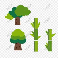 Seputar nama nama buah dan gambar buah buahan segar dalam bahasa inggris maupun bahasa arab, ada yang hitam putih, nama buah buahan untuk mewarnai. Pokok Tumbuhan Hijau Buluh Gambar Unduh Gratis Imej 401241198 Format Psd My Lovepik Com