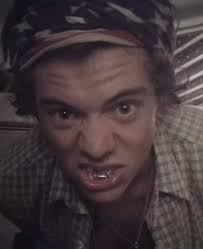 Harry Styles Pilgrim