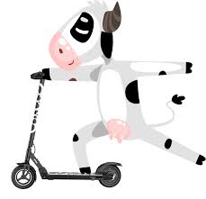 By observing some simple riding rules. Electric Scooter Rental From Moo Scooters Download The App