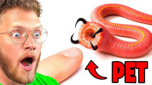 WORST TO BEST LEGEND SKIN IN MOBILE LEGENDS