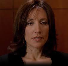 I was watching Boston blue this morning and look who was on. She was a  lawyer.