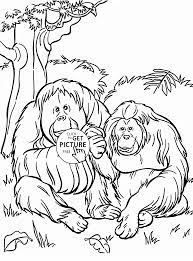 Add these free printable science worksheets and coloring pages to your homeschool day to reinforce science knowledge and to add variety and fun. Orangutans Coloring Page For Kids Animal Coloring Pages Printables Free Wuppsy Com Zoo Animal Coloring Pages Zoo Coloring Pages Animal Coloring Pages