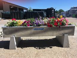 Check spelling or type a new query. How To Plant A Water Trough Planter