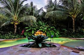We did not find results for: Landscape Designer Miami Knoll Landscape Design