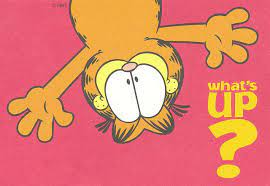 Garfield Postcard What S Up Garfield And Friends Garfield Cartoon Garfield Pictures