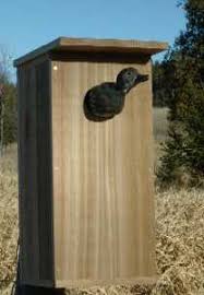 For decades people have been raising wood ducks. Wood Duck Box