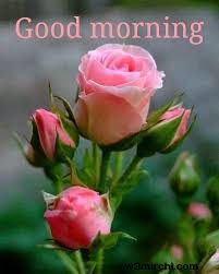 good morning photo के लिए इमेज परिणाम