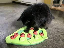 The doc & phoebe mouse feeders come in a. Nina Ottosson Cat Puzzles Review High Quality Interactive Cat Toys