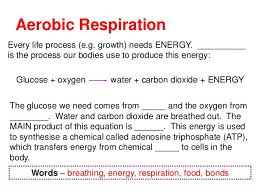 Aerobic Anaerobic Respiration