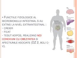 In prima coloana numerele cresc din 2 in 2 in a doua coloana numerele cresc prin inmultire cu 2 in a treia colona numerele scad din 3 in 3 in ultima colona numerele scad prin impartire la 3. Compresa Din Magnezie Pentru Dureri Articulare AfecÈiuni Articulare