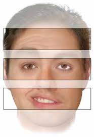 Bell palsy: Clinical examination and management