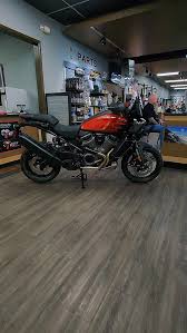 Image result for Bright Wineberry 1993 FXSTS